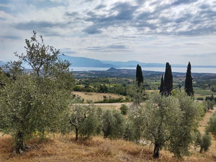 E-Bike/MTB Tour Experience: Archaeological and historical Valtenesi 13